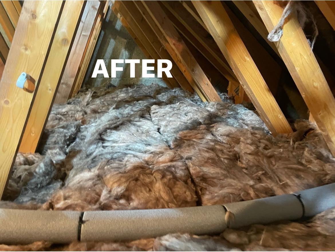Attic Insulation - Image 1